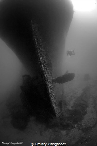Red Sea. Egypt. The Gulf of Suez. Shipwreck SS Turkia. Su... by Dmitry Vinogradov 